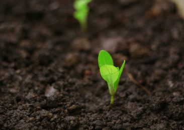 daniel-dan--FMxvHTCRmw-unsplash