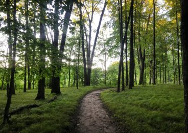 micah-bratt-gF4s_SKoTJ8-unsplash